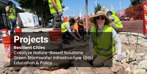 Green Stormwater Infrastructure (GSI)