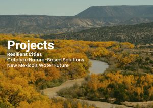 New Mexico's Water Future