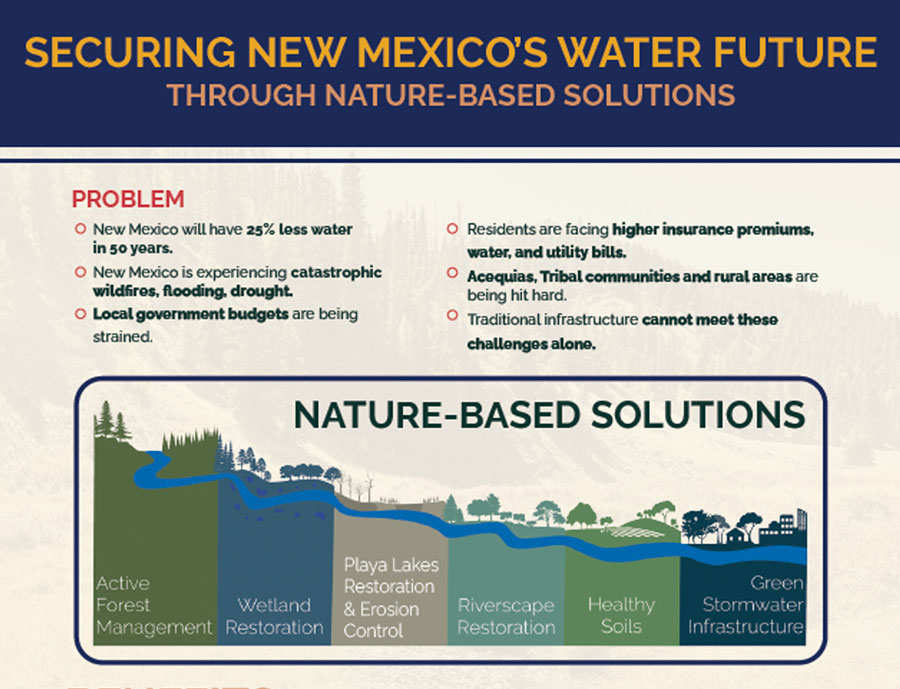 New Mexico page handout