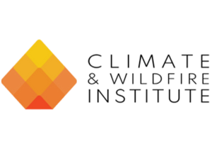 CWI_logo