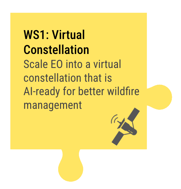 WS1: Virtual Constellation