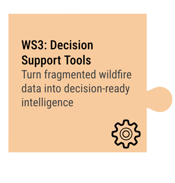 Workstream 3: Decision-Support Tools