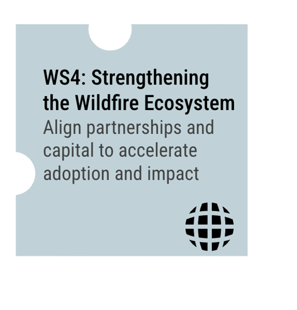 Workstream 4: Ecosystem Coordination & Scaling