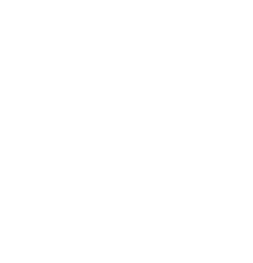 partnerships icon