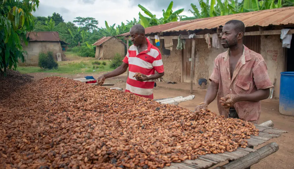 Forest Data Partnership